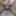 Little limp clitty ladyboy