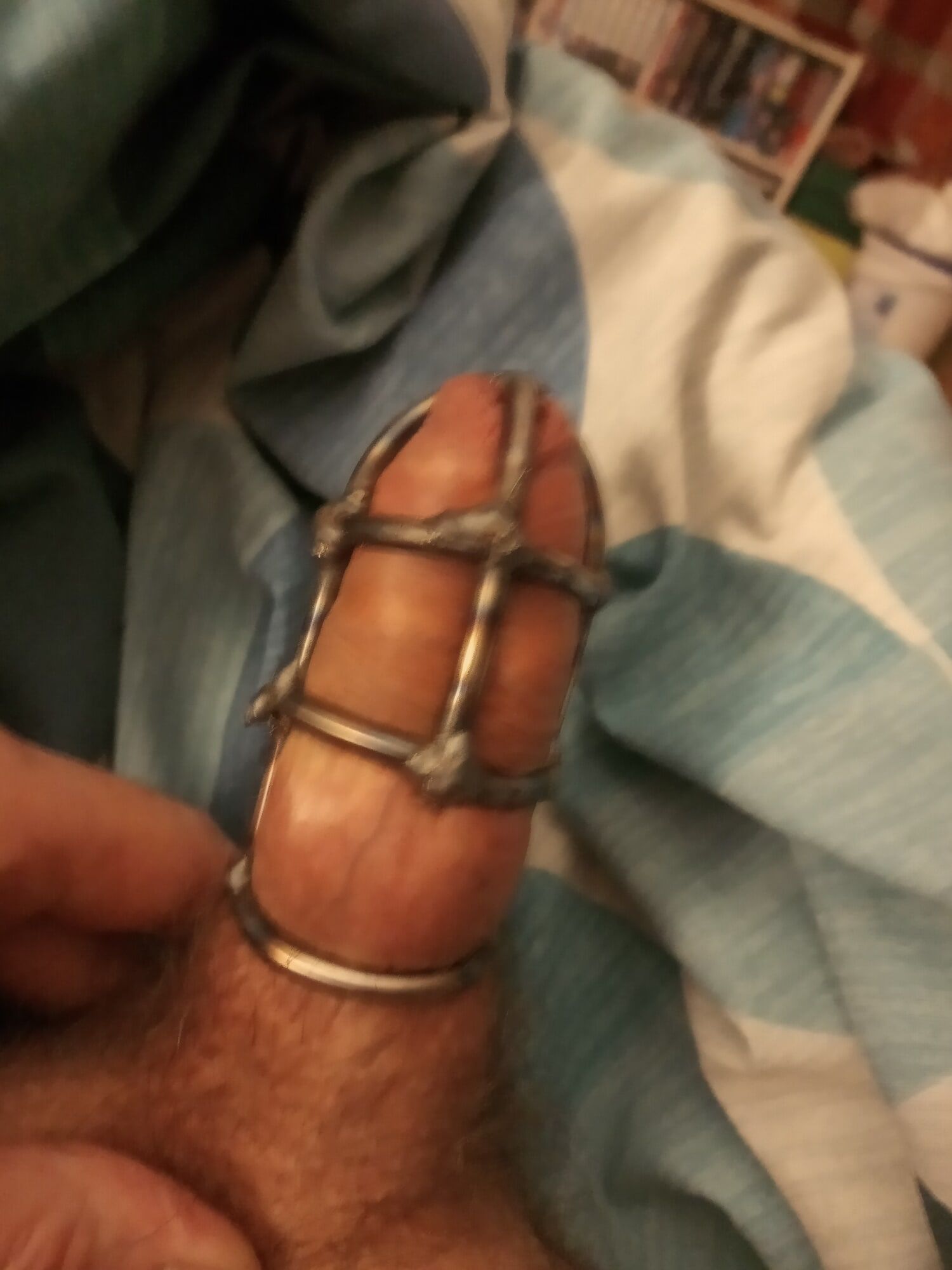 Cock cage #3