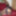  Trap - Travesti - Shemale - Crossdresser - Femboy - Sissy