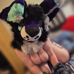 Horny Furry Slut