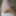 コックの写真
