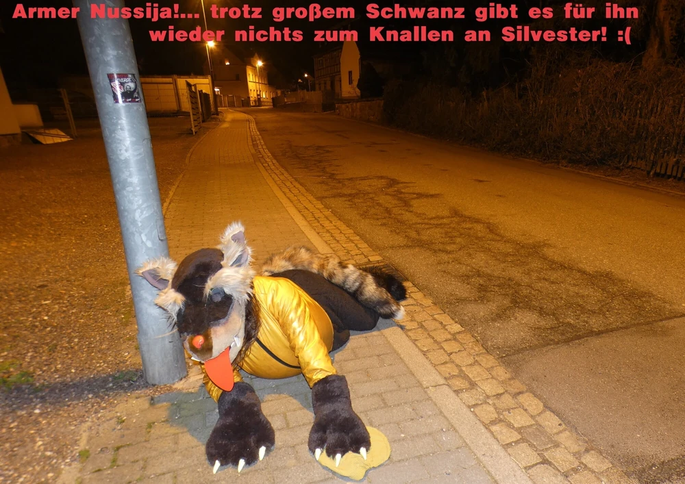 Nussija (new version) #6