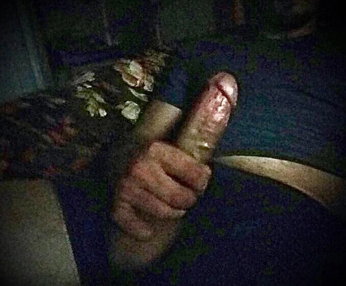 Single & Seeking 
