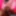 POV Stepdaughter Rough Prone Sex, Ebony Babe Sheisnovember