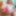 Lucia Gallery 2 #6