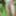 Random Pics From Getting Naked in the Woods #9