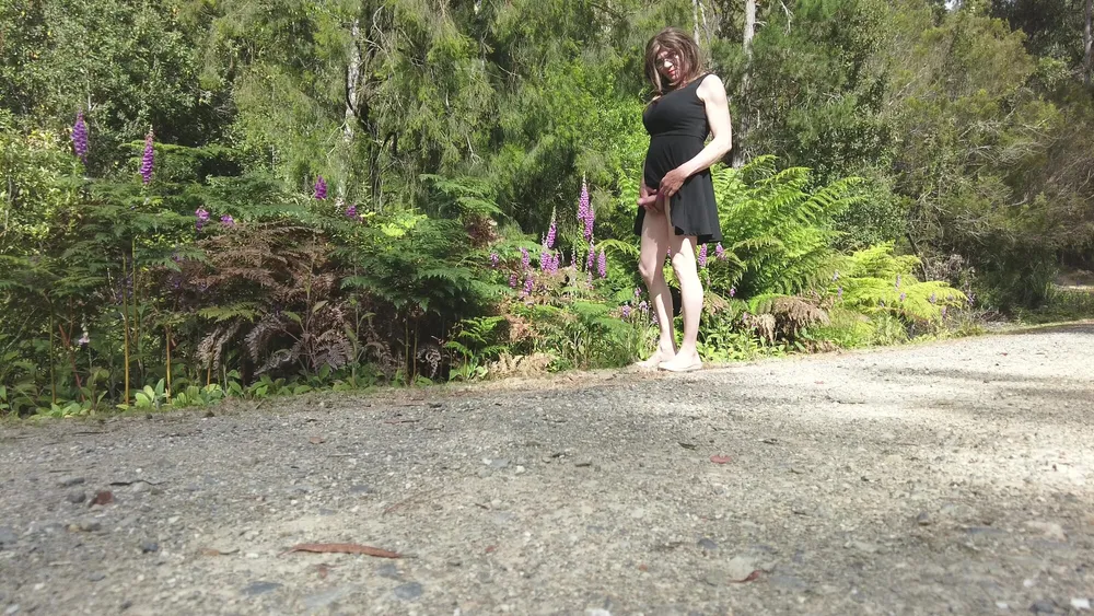 Crossdress Road Trip - Forest Road - Black Dress #15