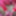 Red October #7