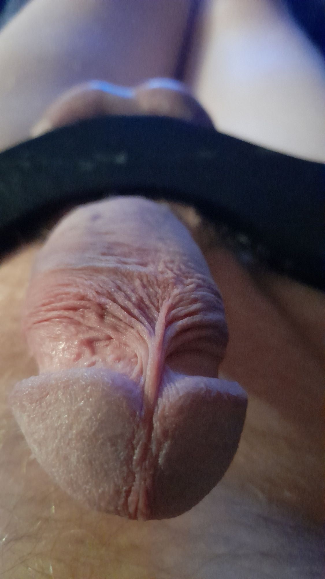 many pics of my cock #26