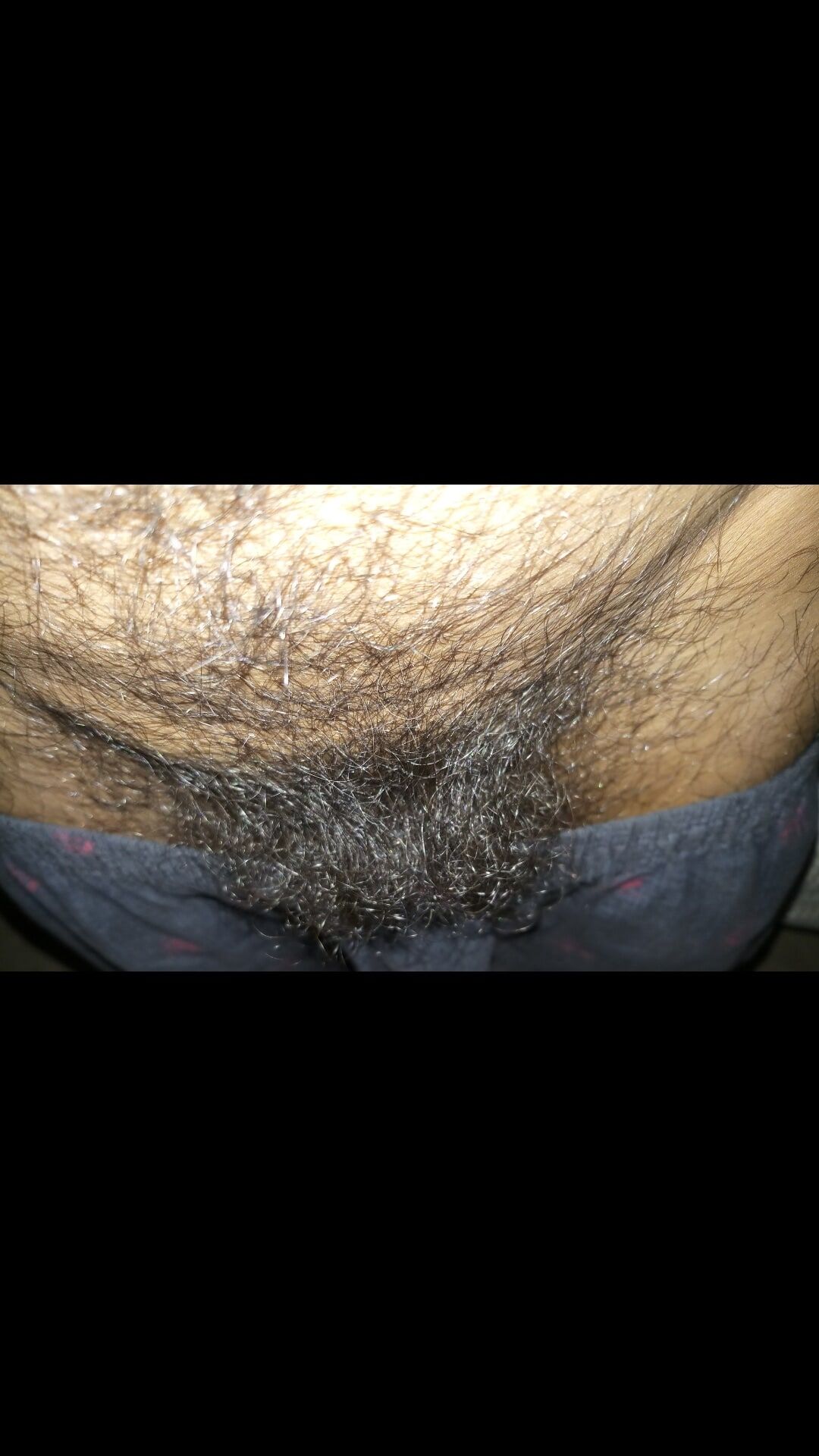 Hairy penis #4