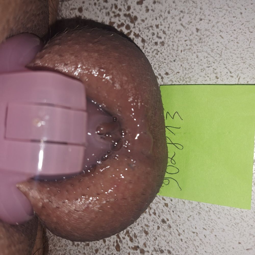 Dick in chastity #4