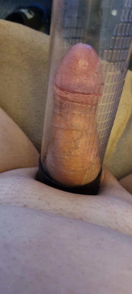 Cockplay at morning #2