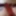 My cute dick. New photos of my dick 