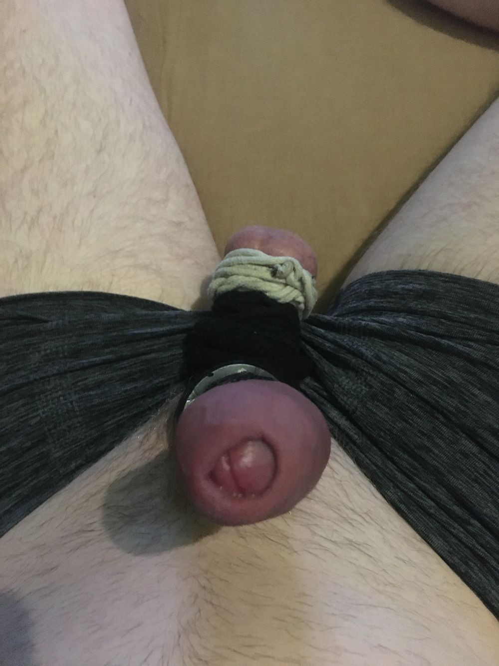 Balls Bound And Cock With Cockrings #19