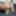 Amateur hot mature milf stepmom and stepson porn sex.