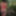 Jungle fun #3