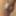 Daily duty of the naked slave March 25th, 2024 #5