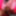 POV Stepdaughter Rough Prone Sex, Ebony Babe Sheisnovember
