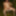 Amateur mature mom blows BBC like true whore PART 2 #16
