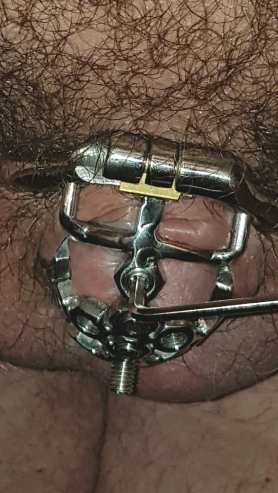 My best chastity cage #4