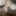 Hi Mai Delhi se hu Kya mai aapke sath sex videos bana sakta 