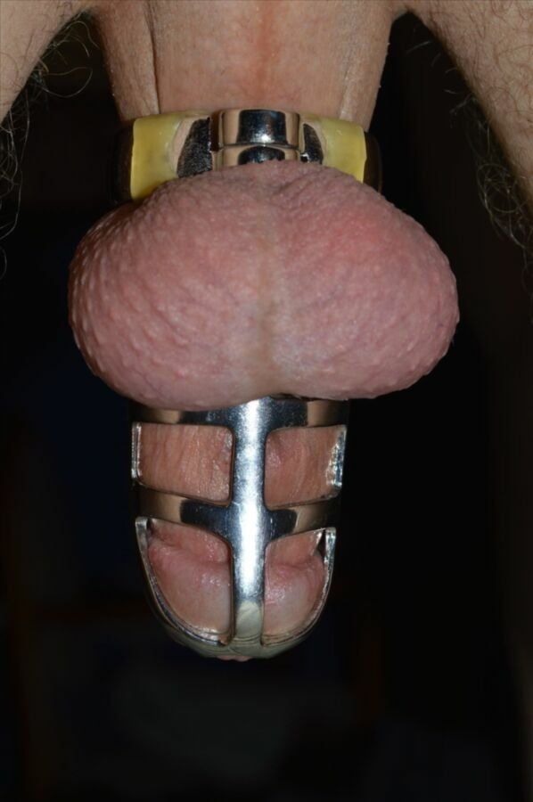 Cock in chastity #9