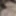 Big black muscular dick in Lacey&#039;s pussy