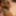 Creampied the Tightest Japanese Pussy GIFs from Latest Video