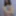 Srta. Carlazinha Mulher Travesti shortinho feminina novinha 