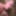 WHOOPS - 45y MILF Creampie After Condom Broke #12