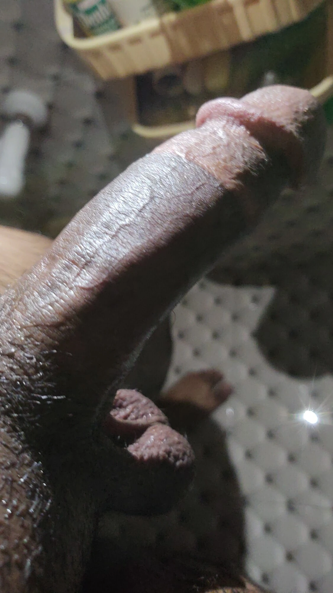 Big bull