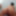 Asher Milks Free Photos