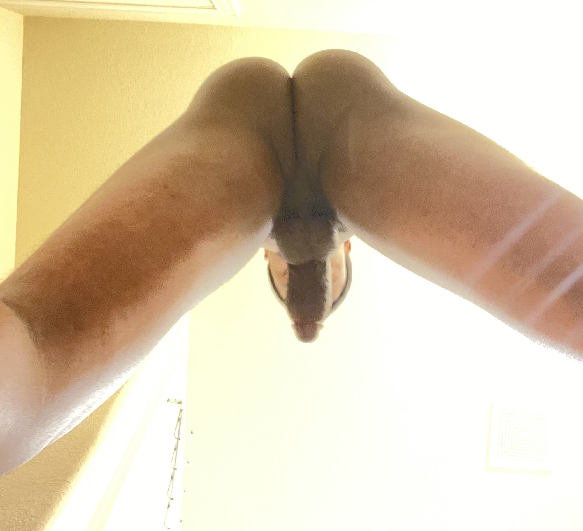 Thick hot cock ready for a good sucking 