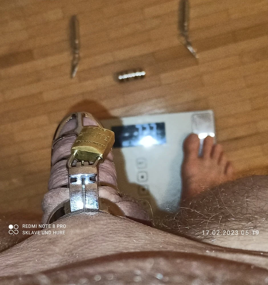 mandatory weighing and cagecheck of 17.02.2023 #2