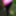Pussy Torment and slapping in the woods #2