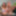 JOEYSTRANSFEETGIRLS: Kendall Penny's Afternoon Foot And Jerk