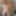 Feburary 2019 -2 #6