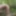 Slutboy in the woods with a toy #2