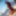 perfectt33n Free Photos #10