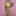 Joanie - Yellow Pencil Dress II #55
