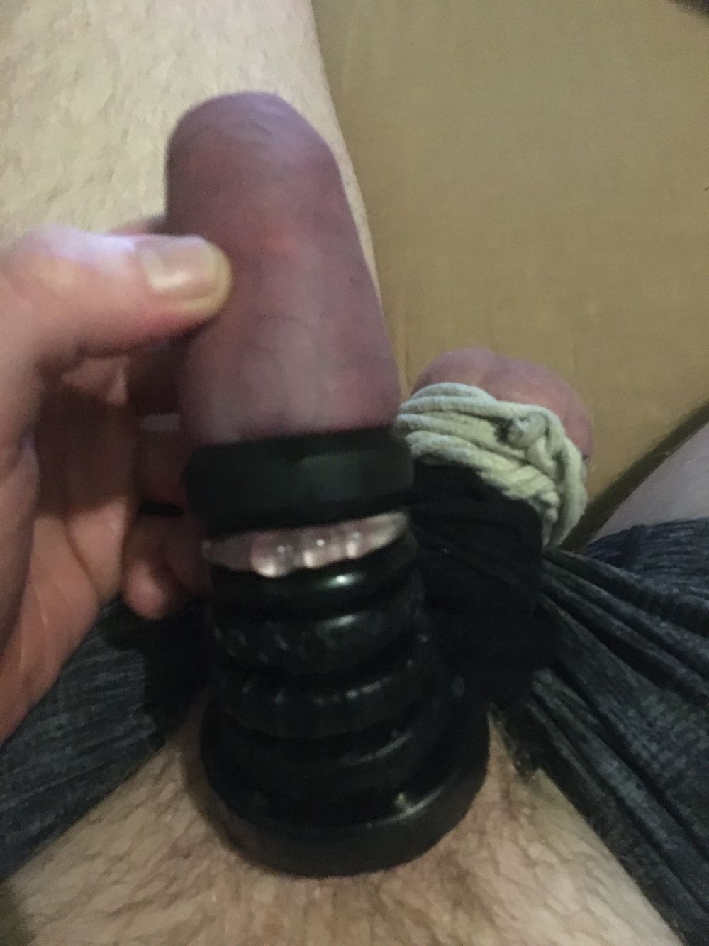 Balls Bound And Cock With Cockrings #10