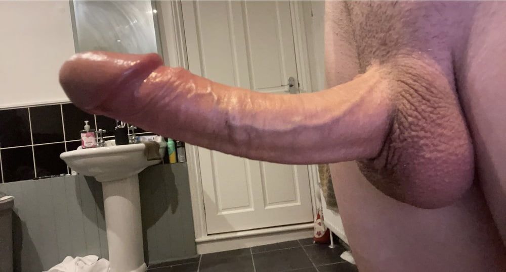 Big White Young Cock 