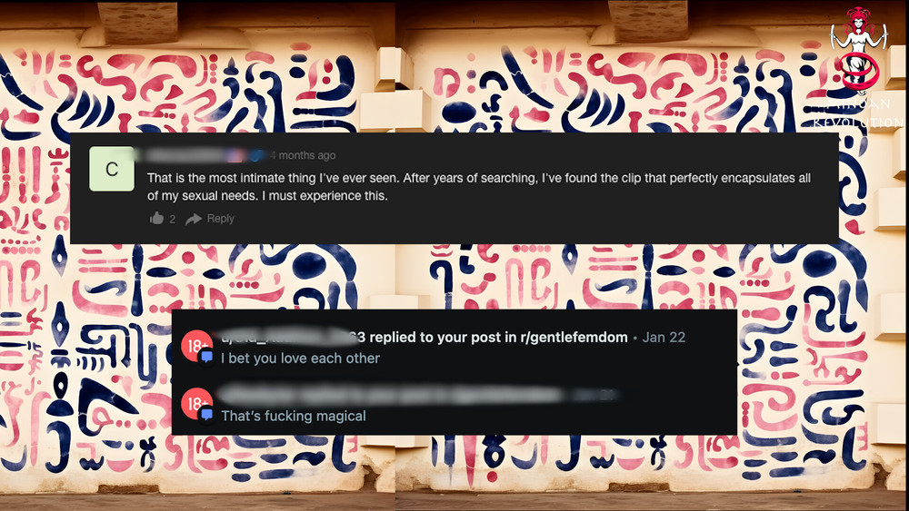 Feedback by our fans ❤️  #14