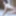1st Time DP and Double Vaginal for Skinny MILF