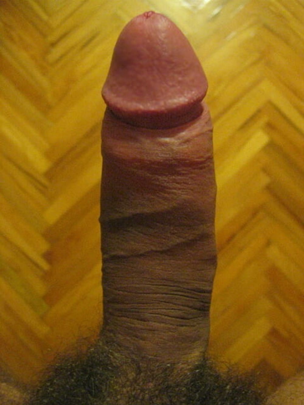 just my cock #14