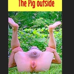 Piggy