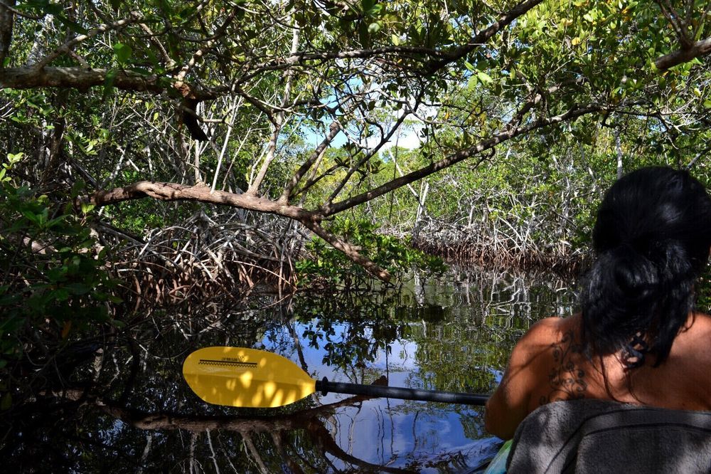 Kayaking With Horny Fuck Toy #8