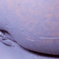 Toys and pussy play
