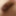 Penis  #4