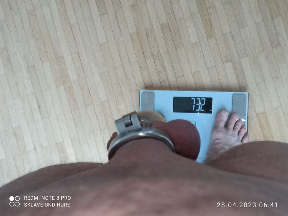 weighing cagecheck 28.04.2023